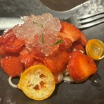 オッジ ダルマット - 