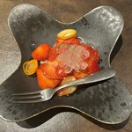 オッジ ダルマット - 