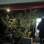 オッジ ダルマット - 