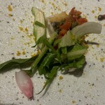 オッジ ダルマット - 