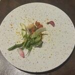 オッジ ダルマット - 