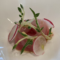 RISPETTO - Antipasto 1: マグロ 冬瓜