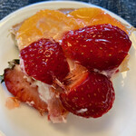 ハナフル - 苺川の眺め（2023年4月）