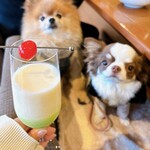 レジーナリゾート軽井沢 御影用水 - 