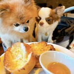 Regina Resort Karuizawa Mikage Yosui