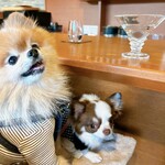 Regina Resort Karuizawa Mikage Yosui