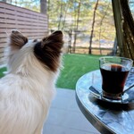 Regina Resort Karuizawa Mikage Yosui