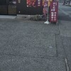 かしわ家 国岡店