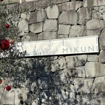 L'art et Mikuni - 