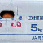 問屋スーパー サント トリコガーデン小牧店 - 長崎「恋みかん」3024円 等級「秀」 階級「２Ｓ」 正味重量「５kg」