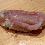 すし光琳 - 赤貝ヒモ