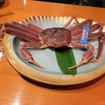 日本料理 松江 和らく - 