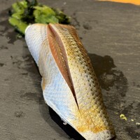 SUSHI TOKYO TEN、 横浜店 -  SUSHI TOKYO TEN、 横浜店 -