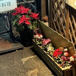 スペイン 西洋料理 パセパセ - 