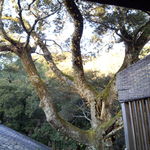 おちあいろう - 部屋からの眺め