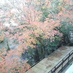 おちあいろう - 部屋から見た紅葉と狩野川