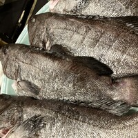 中華旬彩 森本 - 