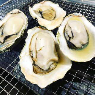 産地直送牡蠣を豪快に焼き台で焼き上げる焼き牡蠣。