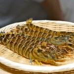 おすしのジョー - 