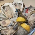 Oyster Bar ジャックポット - 