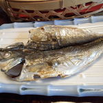 おちあいろう - 鯵の干物