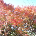 おちあいろう - 同じく