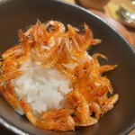 日本料理FUJI - 桜えびのごはん