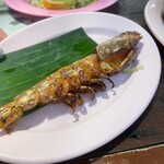 東南アジア屋台 アガリコ食堂 - 