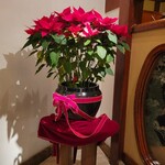 八王子うかい亭 - 