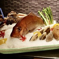 銀座 kappou ukai 肉匠 - 