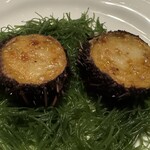 ザンビ - ウニのボンファム