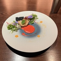 ヴィヴァッカス - 