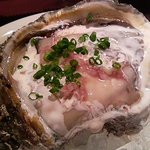 ビストロ ラ・シブレット - 岩牡蠣