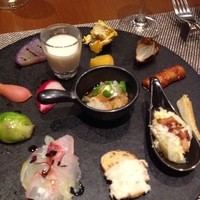 オッジ ダルマット 西麻布店 - 