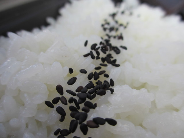 閉店 数寄屋バーグ テイクアウト専門店 品川 ハンバーグ 食べログ