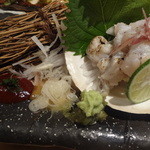 藤家 - はも焼きちり