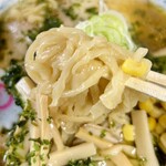 金ちゃんラーメン 南陽店 - 麺アップ