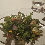 レフェルヴェソンス - 