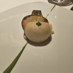 レフェルヴェソンス - 