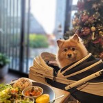 Be cafe - 店内犬連れOK