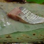 すし処さっぽろ - 