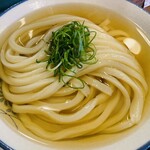 うどん たかしま - うどん（ひやあつ）大 600円