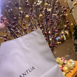 パティスリー ガルガンチュワ - 