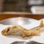 京・富小路 天ぷら吉川 - 2023.7 若鮎一本揚げ