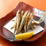 Deep-fried Kibinago from Akune, Kagoshima