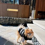 Karuizawa Ropponzuji Saro Cadeau du komorevi