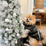 Karuizawa Ropponzuji Saro Cadeau du komorevi