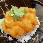 天冨良 麻布よこ田 - 白海老のかき揚げ丼