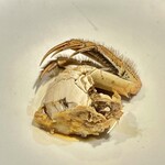 イチリン ハナレ - 2023.12.  上海蟹 雄