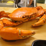 割烹 やました - カニ（どーま）とか言ってました